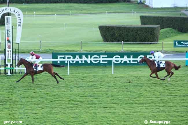 06/11/2012 - Maisons-Laffitte - Prix Finasseur : Arrivée