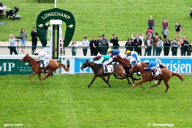 12/05/2013 - ParisLongchamp - Prix de la Seine : Arrivée