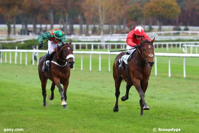 17/11/2014 - Fontainebleau - Prix du Grand Parquet : Result