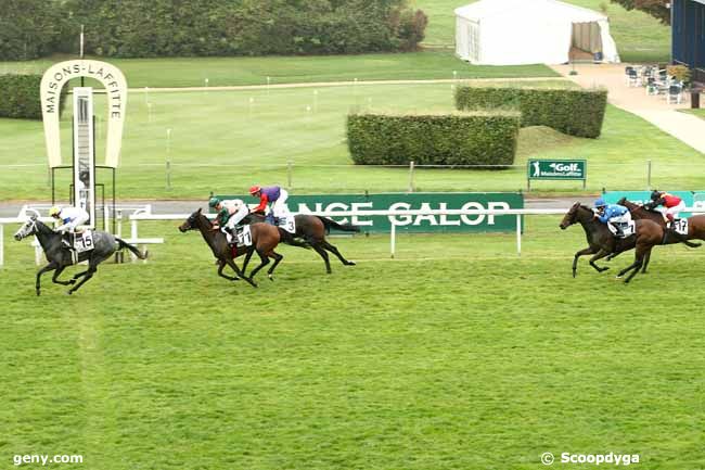 16/10/2015 - Maisons-Laffitte - Prix de Lamballe : Arrivée