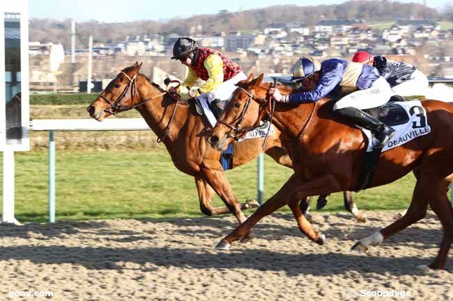 04/01/2020 - Deauville - Prix de la Perdrière : Arrivée