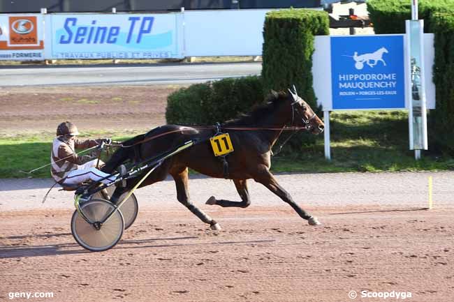 13/11/2024 - Rouen-Mauquenchy - Prix du Bar-Tabac de la Place - Prix Maurice de Folleville : Ankunft