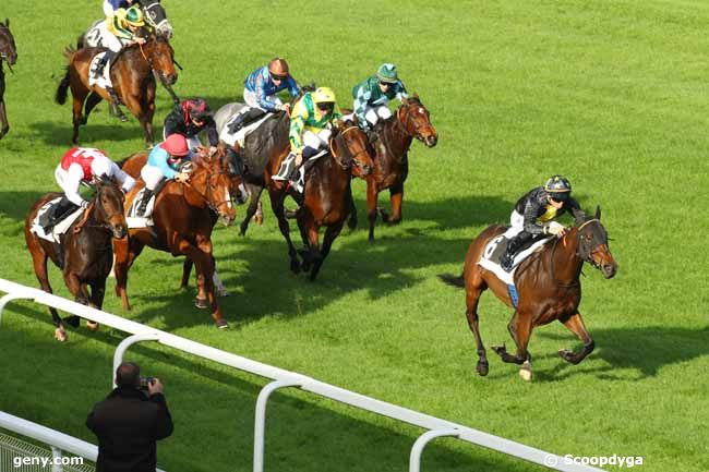 14/11/2024 - Fontainebleau - Prix de la Lande de Bruyère : Arrivée