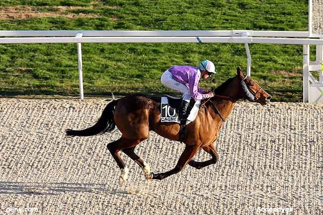 20/01/2009 - Cagnes-sur-Mer - Prix de la Croisette : Result