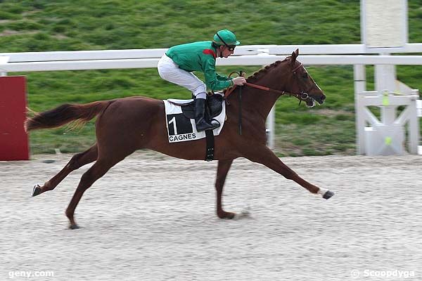 18/02/2009 - Cagnes-sur-Mer - Prix de Cavaillon : Arrivée