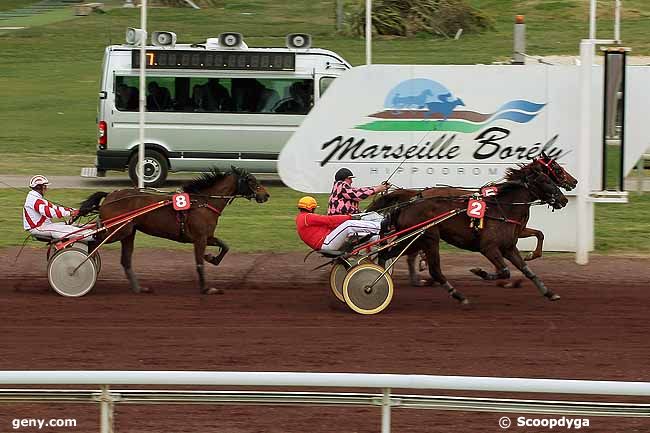 25/03/2009 - Marseille-Borély - Prix de Cavaillon : Result