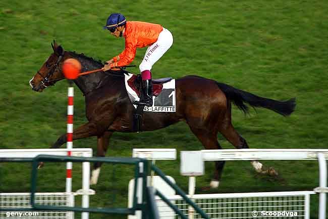 09/11/2009 - Maisons-Laffitte - Prix de Grisy : Arrivée