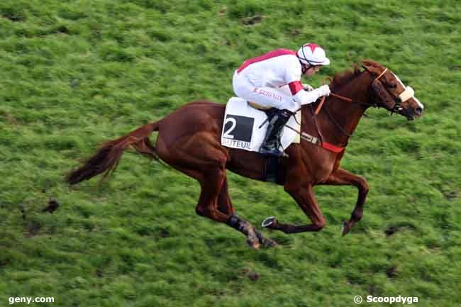 18/11/2009 - Auteuil - Prix de la Croix Dauphiné : Arrivée