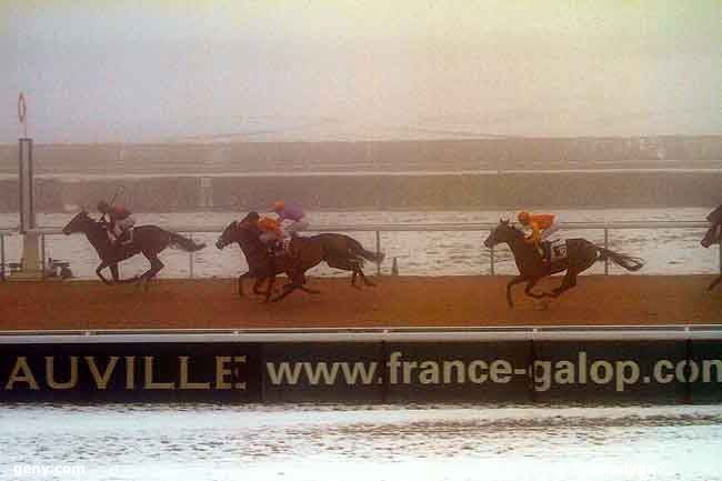 22/12/2010 - Deauville - Prix des Perrets : Arrivée