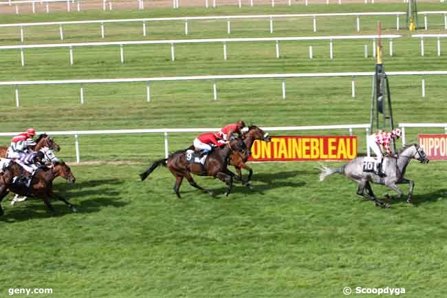 31/08/2012 - Fontainebleau - Prix Paris-Turf : Ankunft