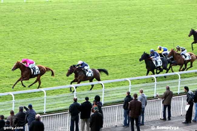 06/11/2012 - Maisons-Laffitte - Prix du Rhin : Result