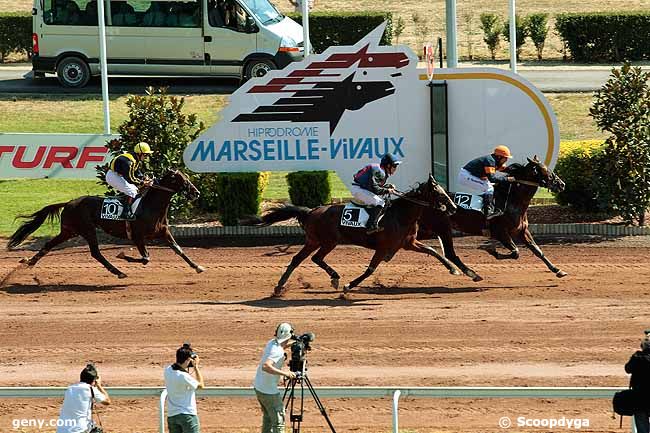 04/09/2013 - Marseille-Vivaux - Prix Gérard Prudhon : Ankunft