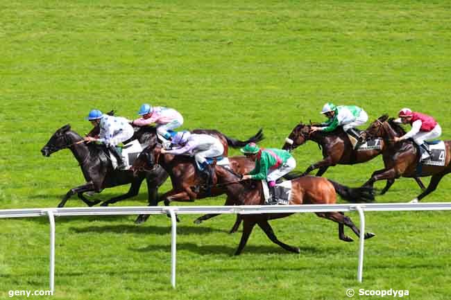 30/05/2014 - Maisons-Laffitte - Prix le Sancy : Ankunft