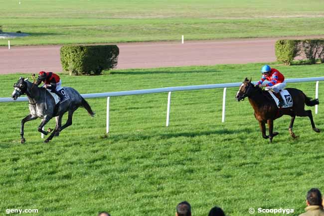 10/11/2014 - Angers - Prix Commandant de la Brunière : Arrivée