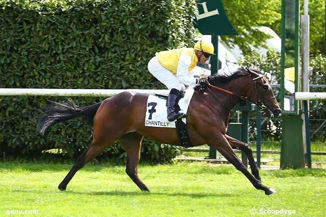 10/05/2022 - Chantilly - Prix de la Mère Marie : Result