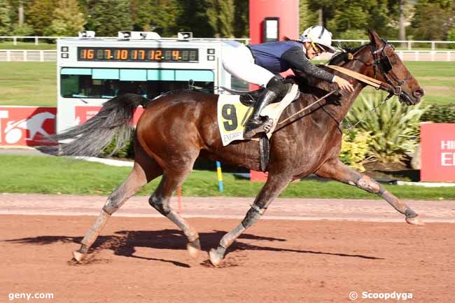 29/10/2023 - Enghien - Prix de Mainvilliers : Arrivée