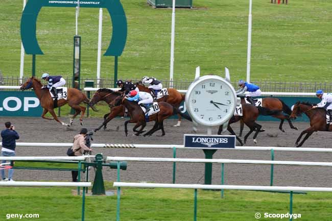 29/04/2024 - Chantilly - Prix de l'Allée de la Petite Haie : Arrivée