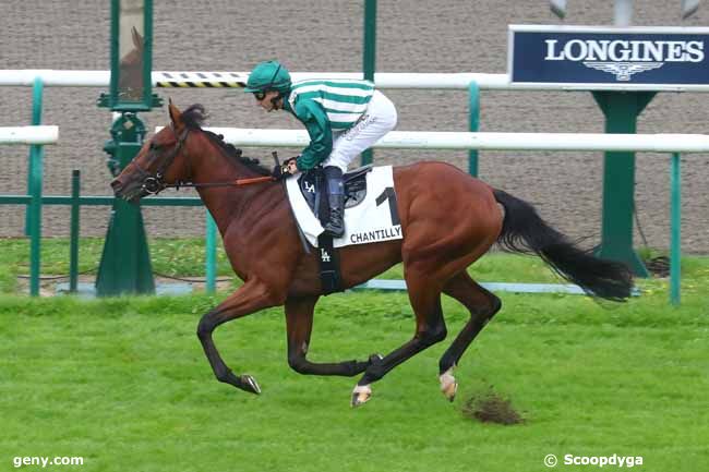 07/09/2024 - Chantilly - Prix des Aigles : Arrivée