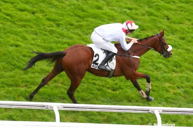 24/09/2024 - Auteuil - Prix de Gien : Arrivée