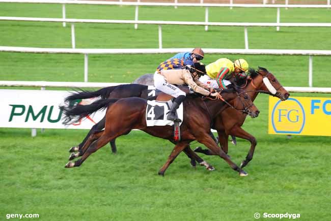 14/11/2024 - Fontainebleau - Prix de la Croix du Grand Veneur : Arrivée