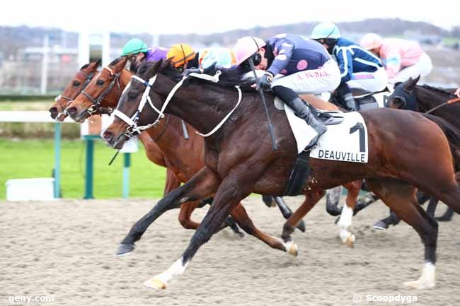 04/01/2025 - Deauville - Prix du Home : Arrivée