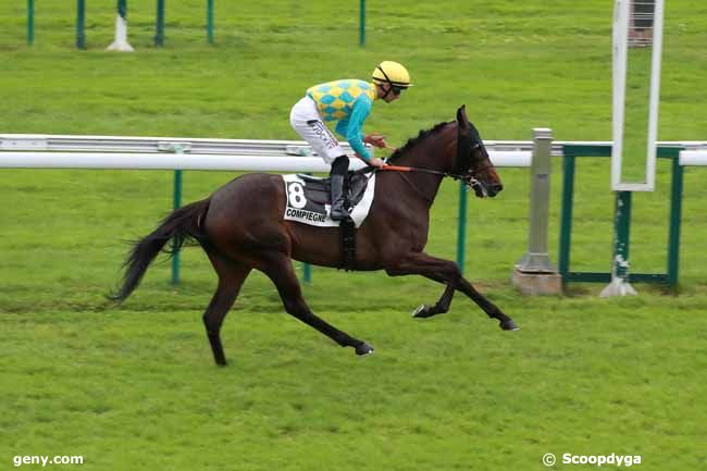 24/07/2025 - Compiègne - Prix de Vieux Moulin : Arrivée