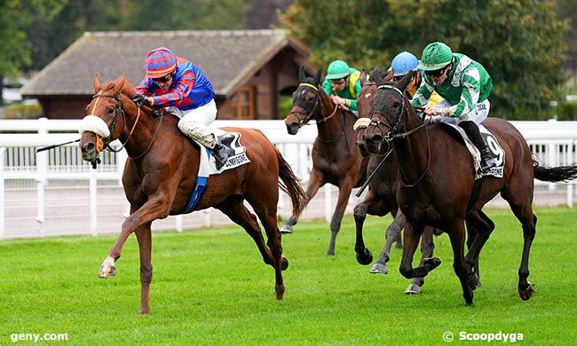 24/09/2025 - Compiègne - Prix de Blerancourt : Arrivée