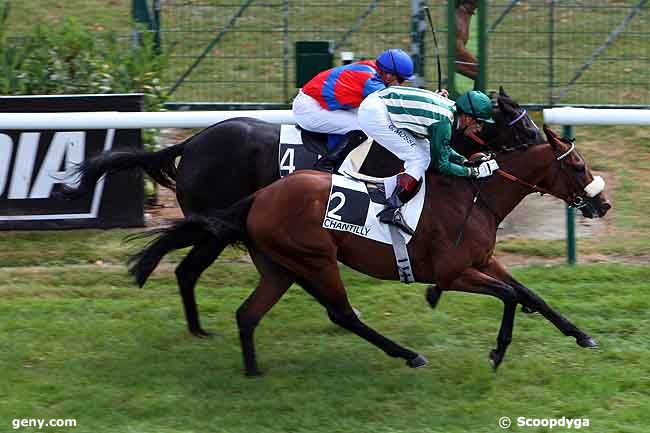 04/09/2009 - Chantilly - Prix de la Francilienne : Ankunft