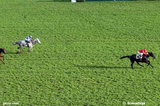 18/11/2009 - Auteuil - Prix de l'Orne : Arrivée