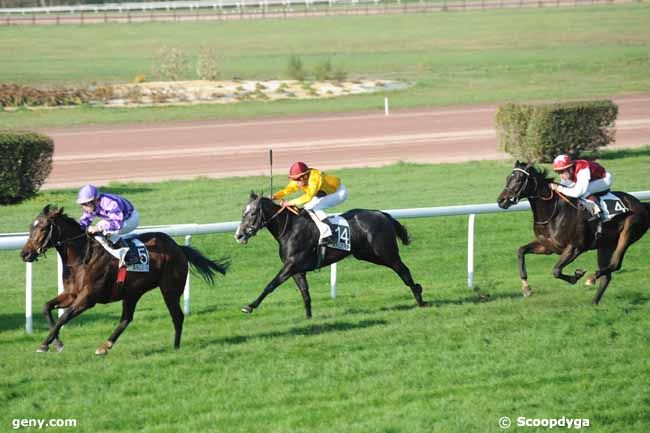 15/11/2011 - Angers - Prix David d'Angers : Result