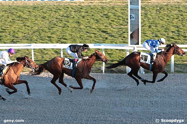 15/02/2012 - Cagnes-sur-Mer - Prix des Bourraches : Arrivée