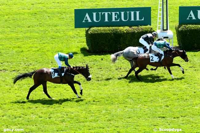 23/05/2013 - Auteuil - Prix Samour : Arrivée