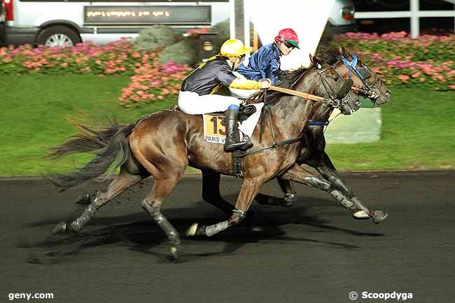 20/09/2013 - Vincennes - Prix Sagitta : Ankunft