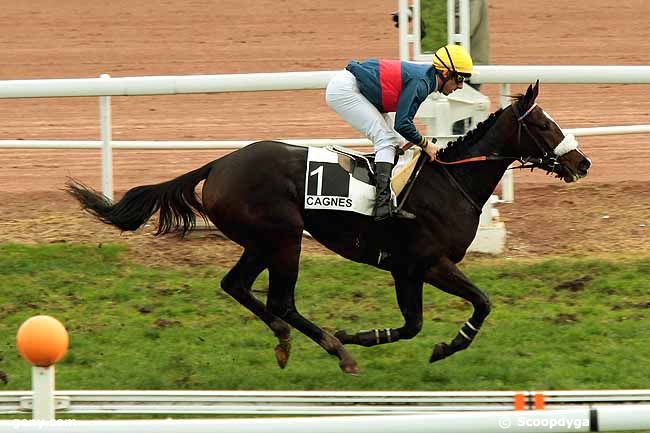 26/12/2013 - Cagnes-sur-Mer - Prix de la Bretagne : Arrivée