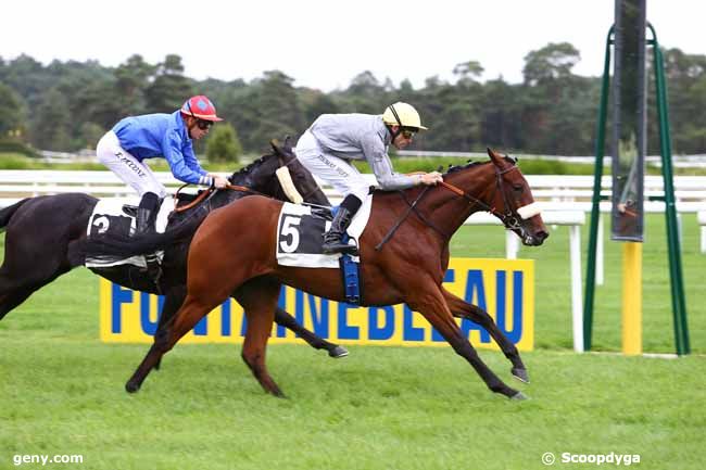 20/09/2016 - Fontainebleau - Prix des Acacias : Result