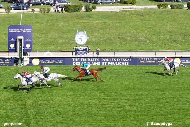 12/05/2019 - ParisLongchamp - The President of The UAE Cup - Coupe d'Europe des Chevaux Arabes : Result