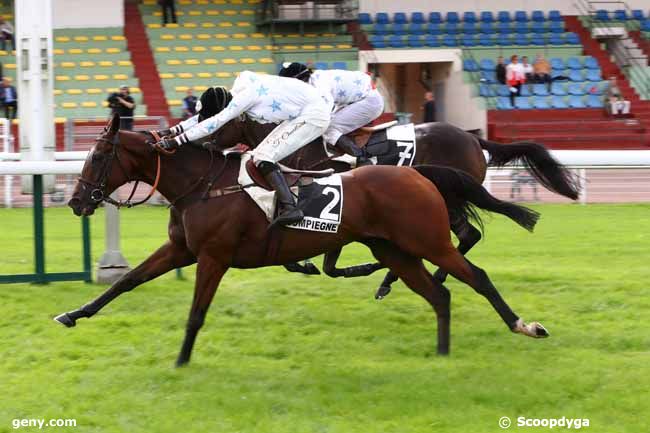 01/10/2019 - Compiègne - Prix de la Gascogne : Arrivée