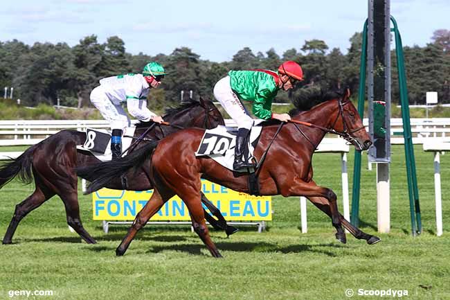 30/09/2021 - Fontainebleau - Prix de la Mare aux Evées : Ankunft