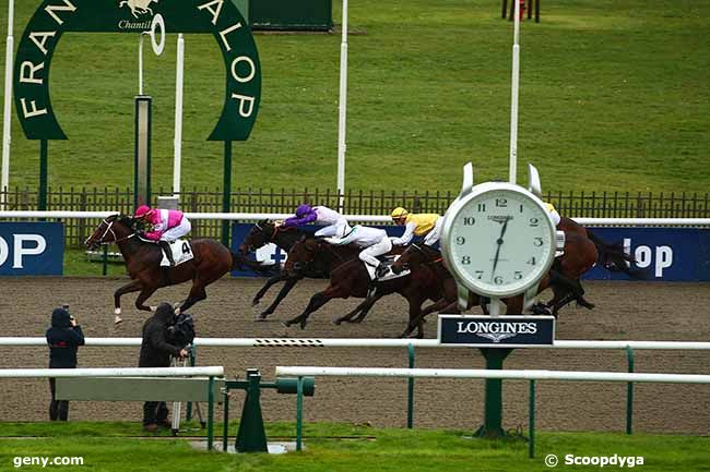 15/11/2022 - Chantilly - Prix de la Motte Louvet : Arrivée