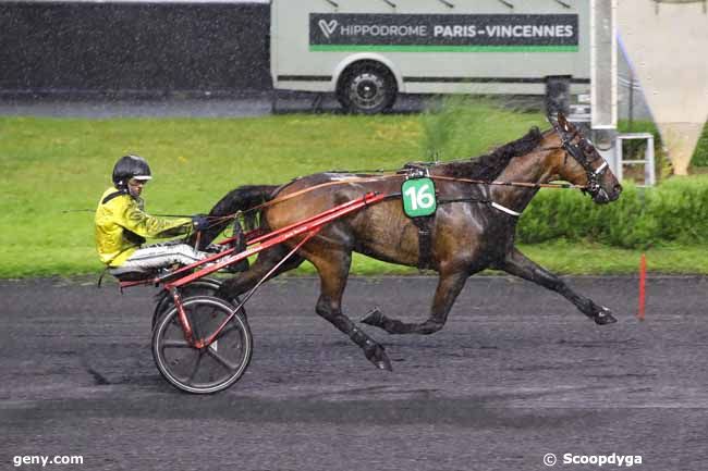 14/06/2024 - Vincennes - Prix Tropiques Fm (Prix Hygica) : Arrivée