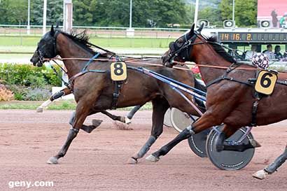 12/07/2024 - Cabourg - Prix des Pivoines : Arrivée