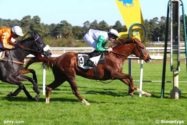 05/10/2024 - Fontainebleau - Prix du Carrefour de l'Obélisque : Arrivée