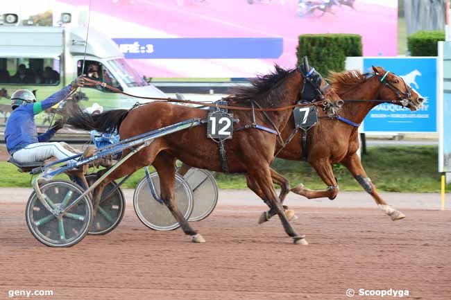 13/11/2024 - Rouen-Mauquenchy - Prix l'Amandra : Ankunft