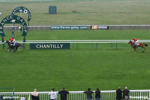 11/10/2007 - Chantilly - Prix de Sandricourt : Result