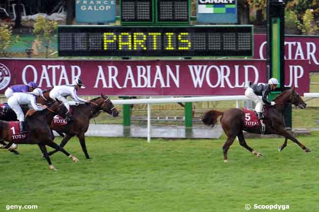 03/10/2008 - Saint-Cloud - Qatar Total French Arabian Breeders'Cup (Poulains 3 Ans) : Ankunft