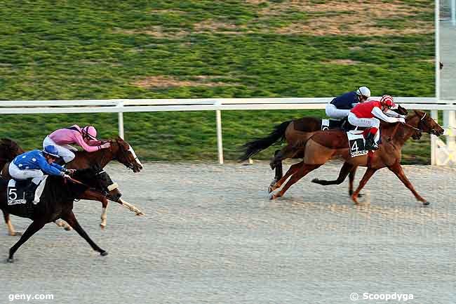 20/01/2009 - Cagnes-sur-Mer - Prix de la Madeleine : Result
