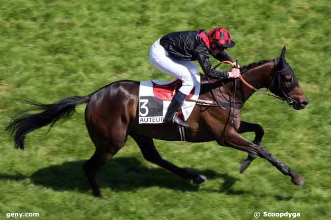 02/06/2009 - Auteuil - Prix Miror : Ankunft