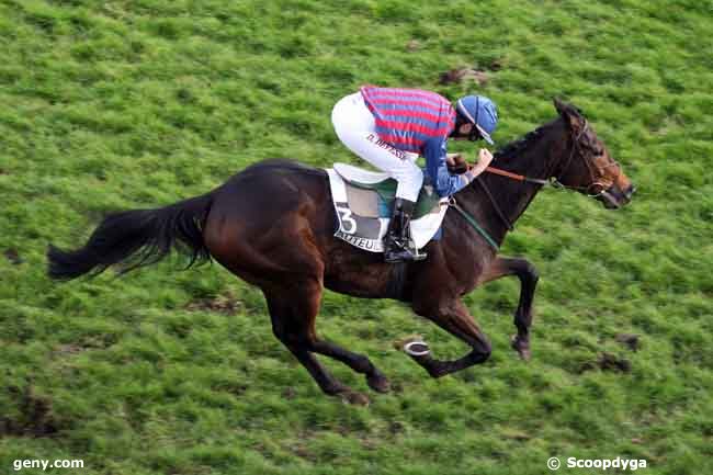 18/11/2009 - Auteuil - Prix le Pontet : Arrivée