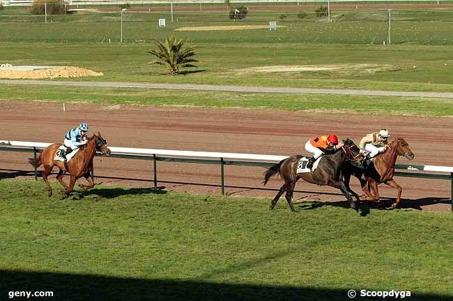 01/03/2010 - Marseille-Borély - Prix de Mallemort : Arrivée