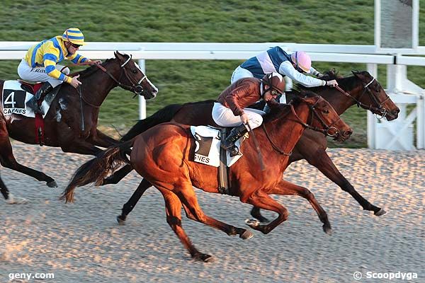15/02/2012 - Cagnes-sur-Mer - Prix de Cogolin : Arrivée